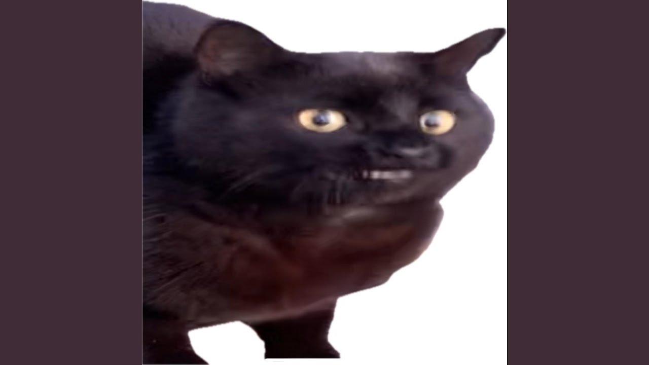 Happy Birthday Meow Meow Cat