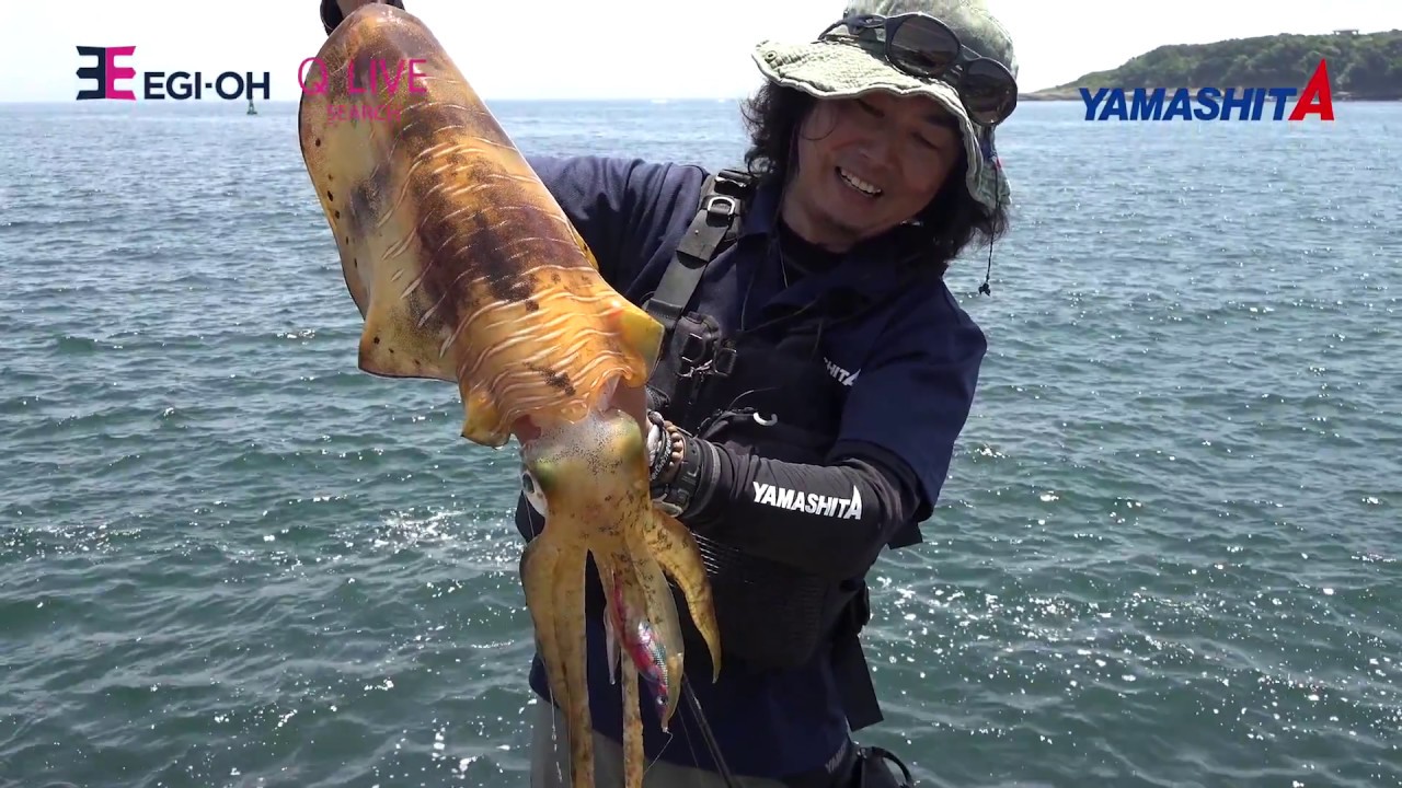 The highest appeal squid jig of the EGI OH series 