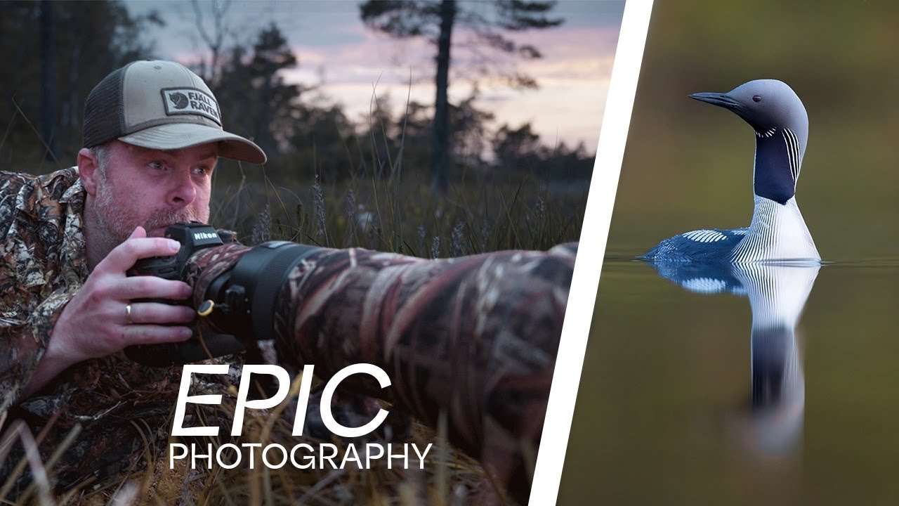 2 дня в кемпинге // Фотографирование птиц и мой лучший момент в 2025 году