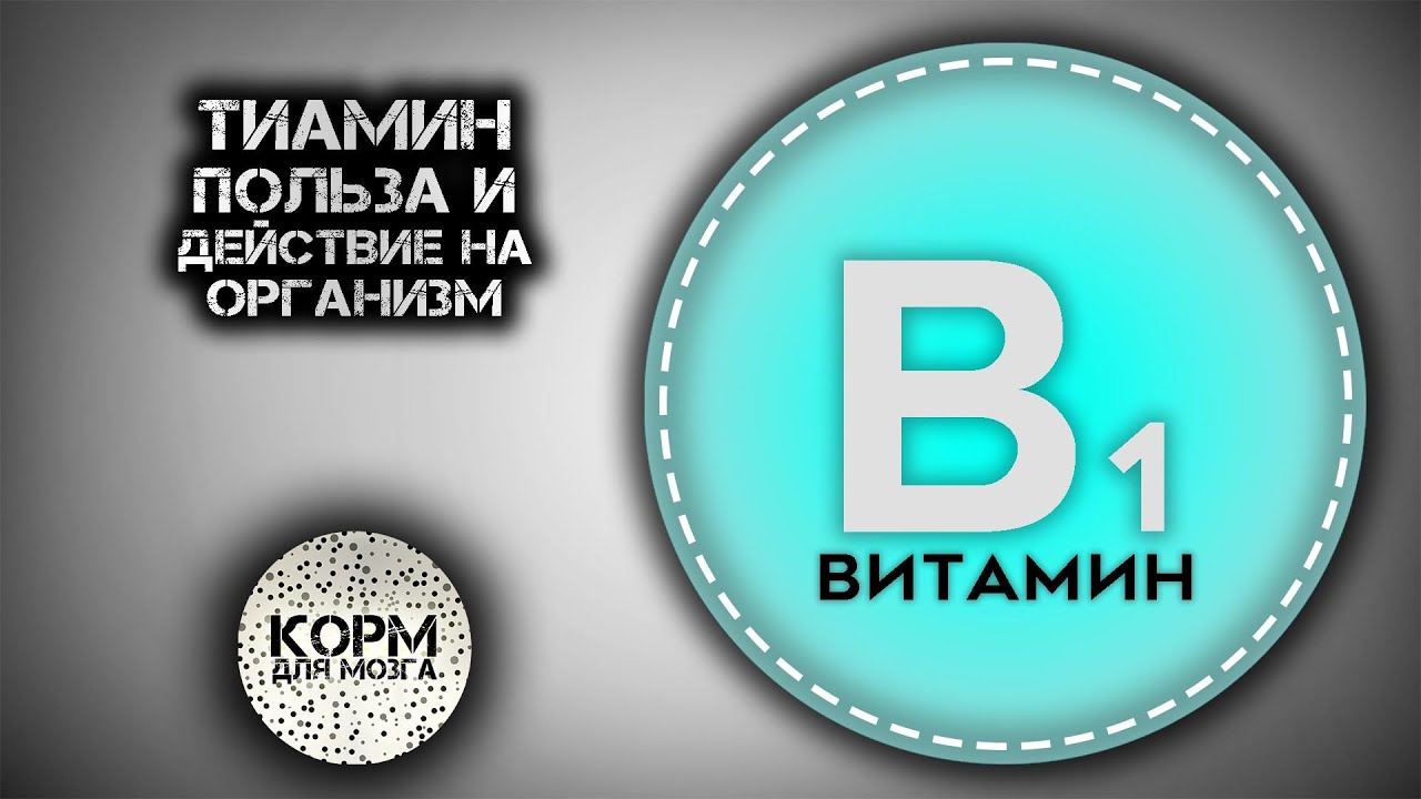 Тиамин (Витамин B1). Польза и действие на организм.