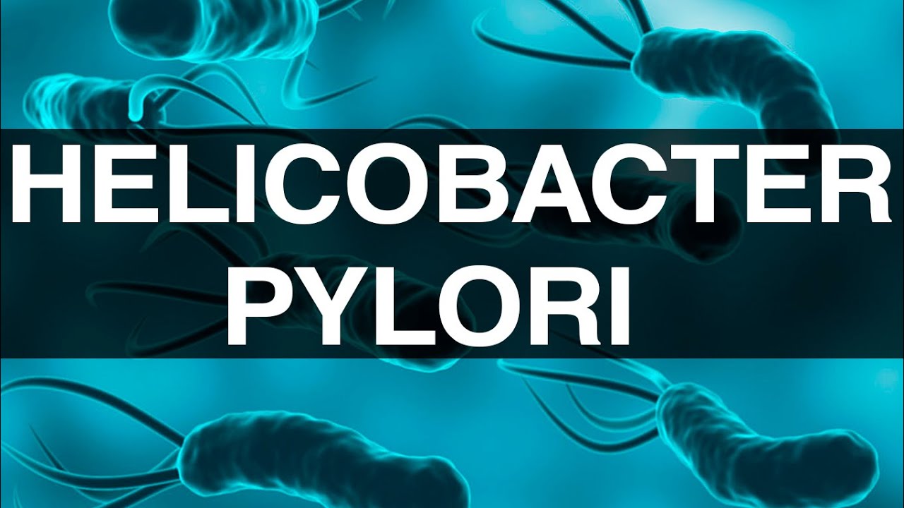 Helicobacter pylori. Гастрит. Виразка шлунка. Рак шлунка