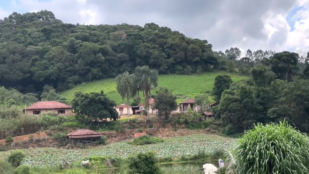 Sítio à Venda – 3,5 Alqueires na Serra da Mantiqueira em Toledo MG