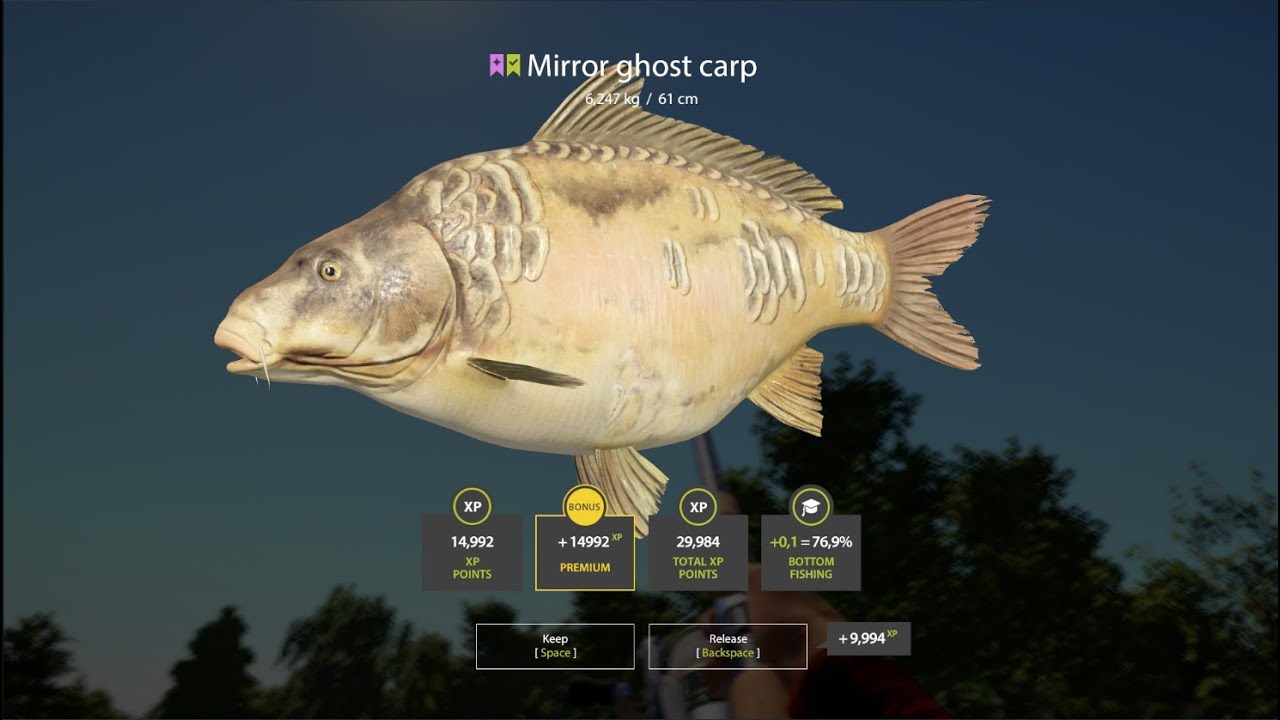 Russian Fishing 4 Amber Lake Active Carp Spot 600s/1h