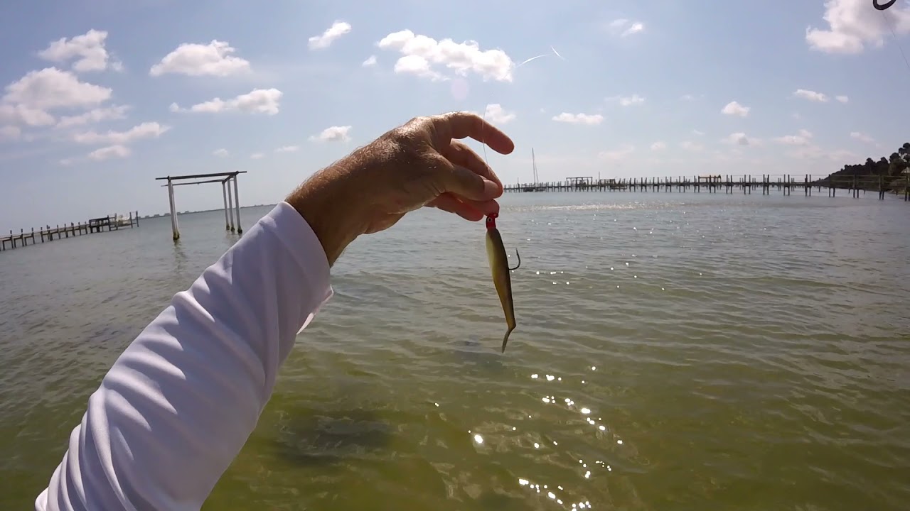 Wade Fishing Fort Pierce for Monster Snook| Fishyourassoff.com
