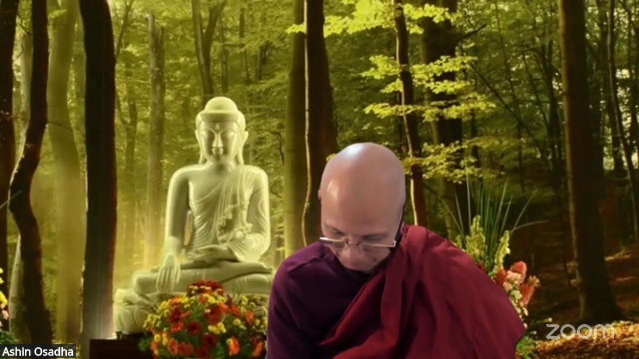 ဝိသုဒ္ဓိမဂ်သင်တန်း အပိုင်း− ၂၄၇ - မဂ္ဂါမဂ္ဂ ဉာဏဒဿန ဝိသုဒ္ဓိ - ဆရာတော်ဦးဩသဓ