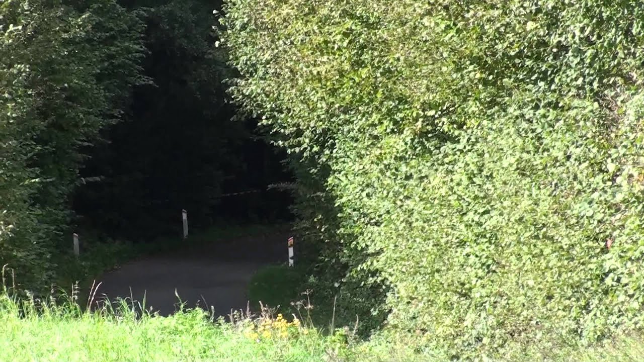 Faaborg hillclimb 2010