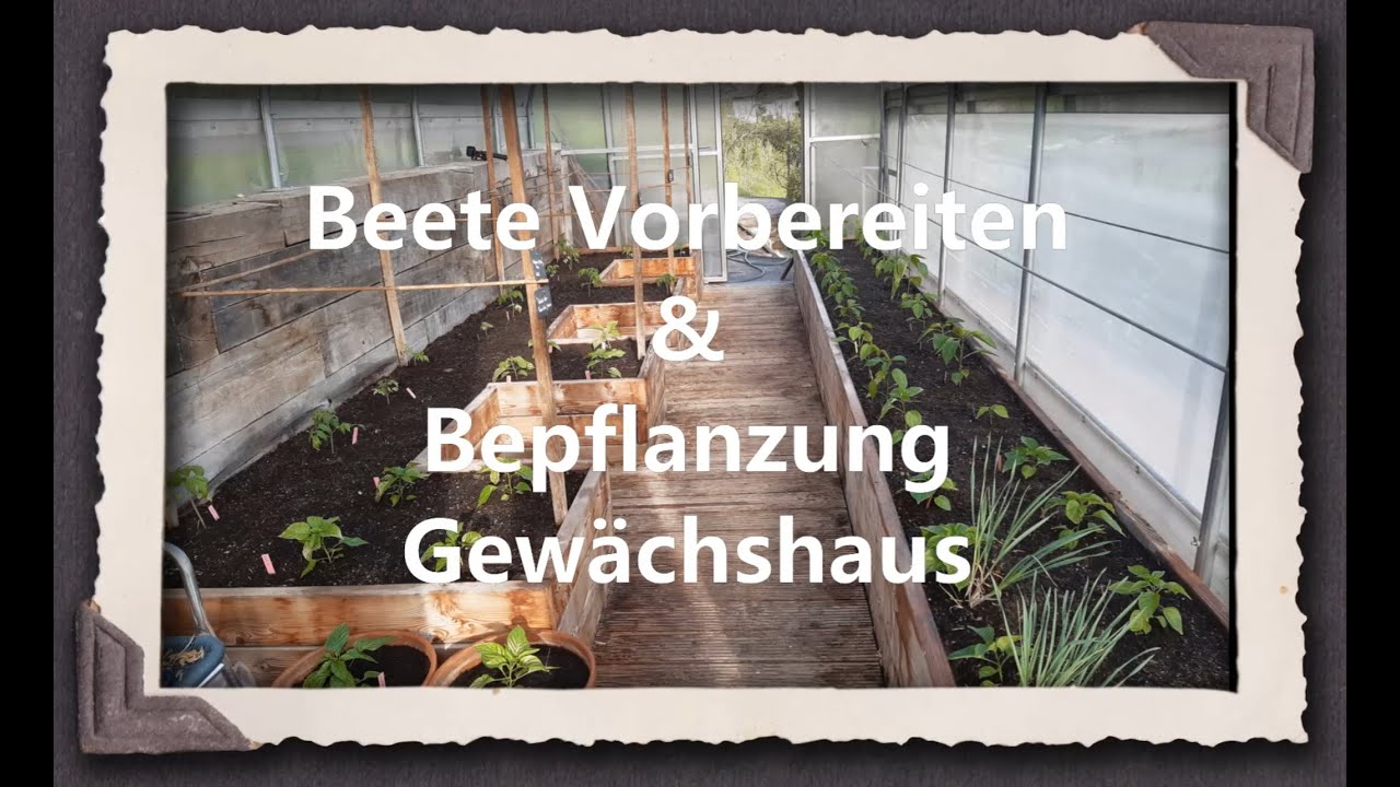 Beete Vorbereiten & Bepflanzung Gewächshaus
