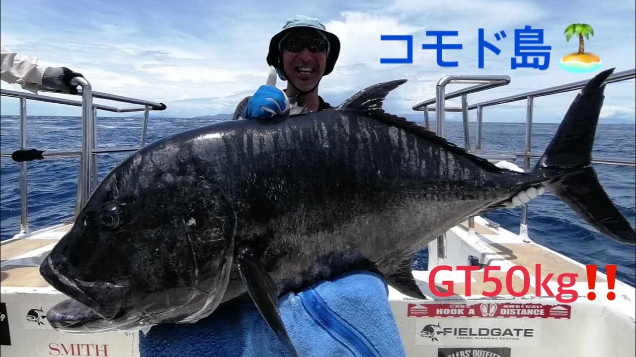 ロウニンアジ　インドネシア　コモド島🏝️GT30、40、50kg❗️