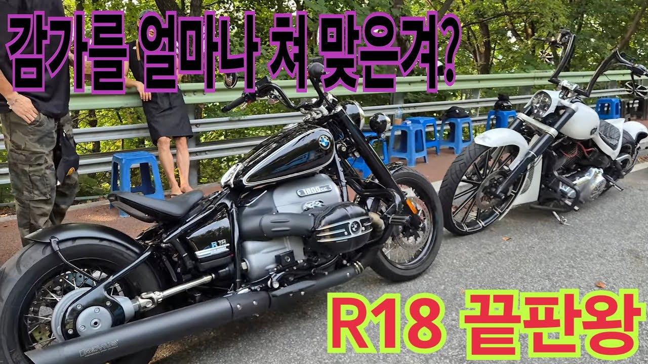  R18 사실분들은 지금이 기회..싸도 너무 싼데?