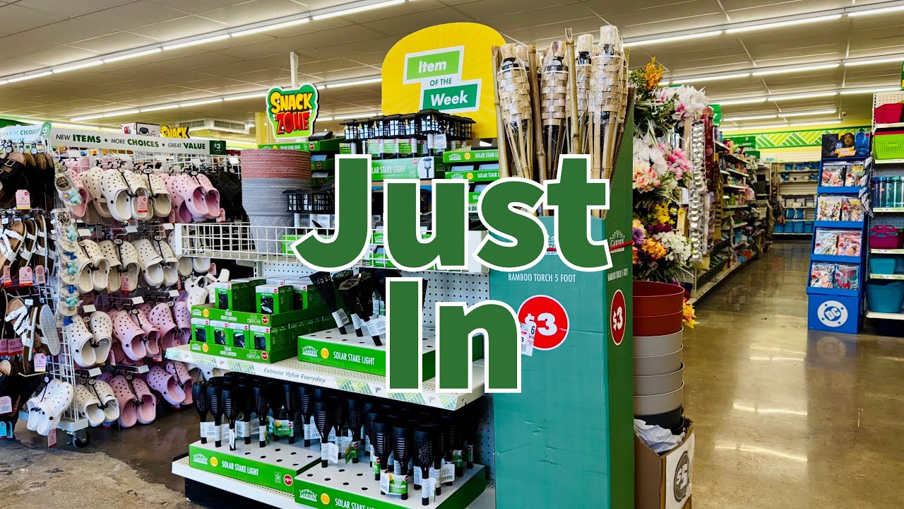 Dollar Tree 2025 | NEW Finds This Week😮😮😮