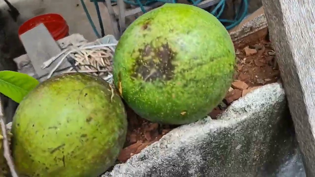 Minha rotina dif&iacute;cil 