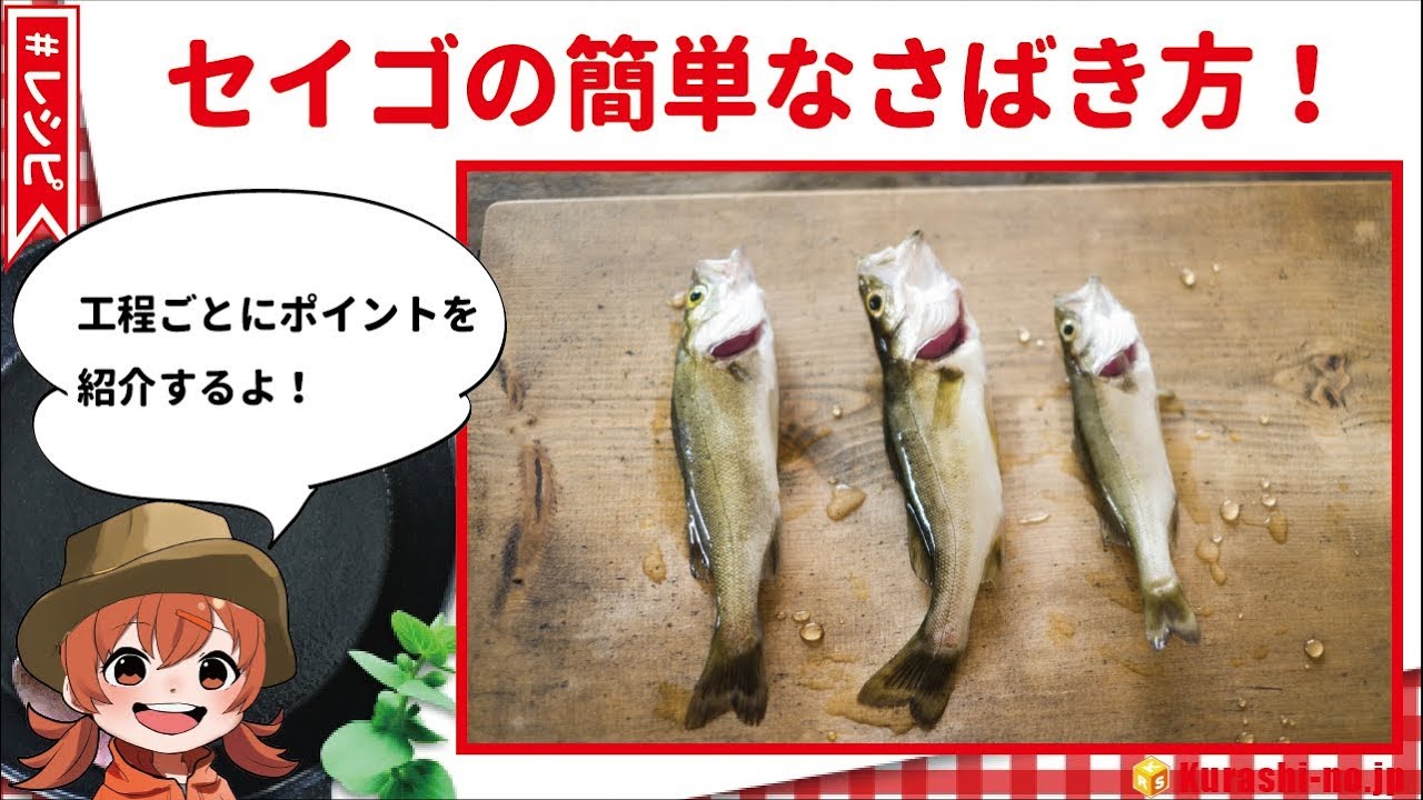 セイゴの簡単なさばき方！工程ごとにポイントをご紹介！