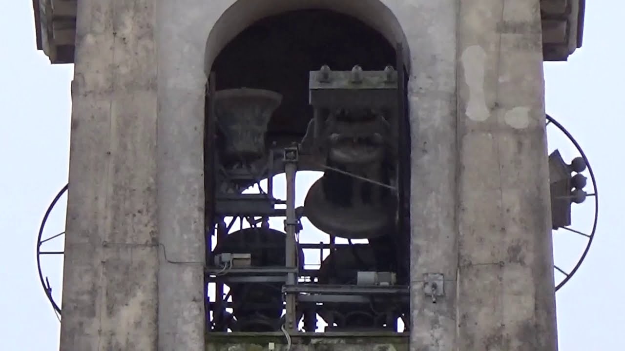 Le campane di Cilavegna (PV) Chiesa Parrocchiale dei Santi Pietro e Paolo - Video n°420