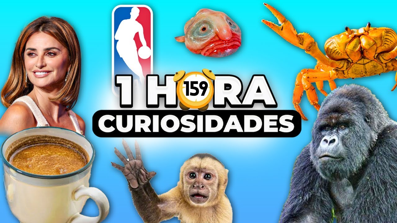 1 HORA De DATOS CURIOSOS y CURIOSIDADES Que NO SABÍAS😮