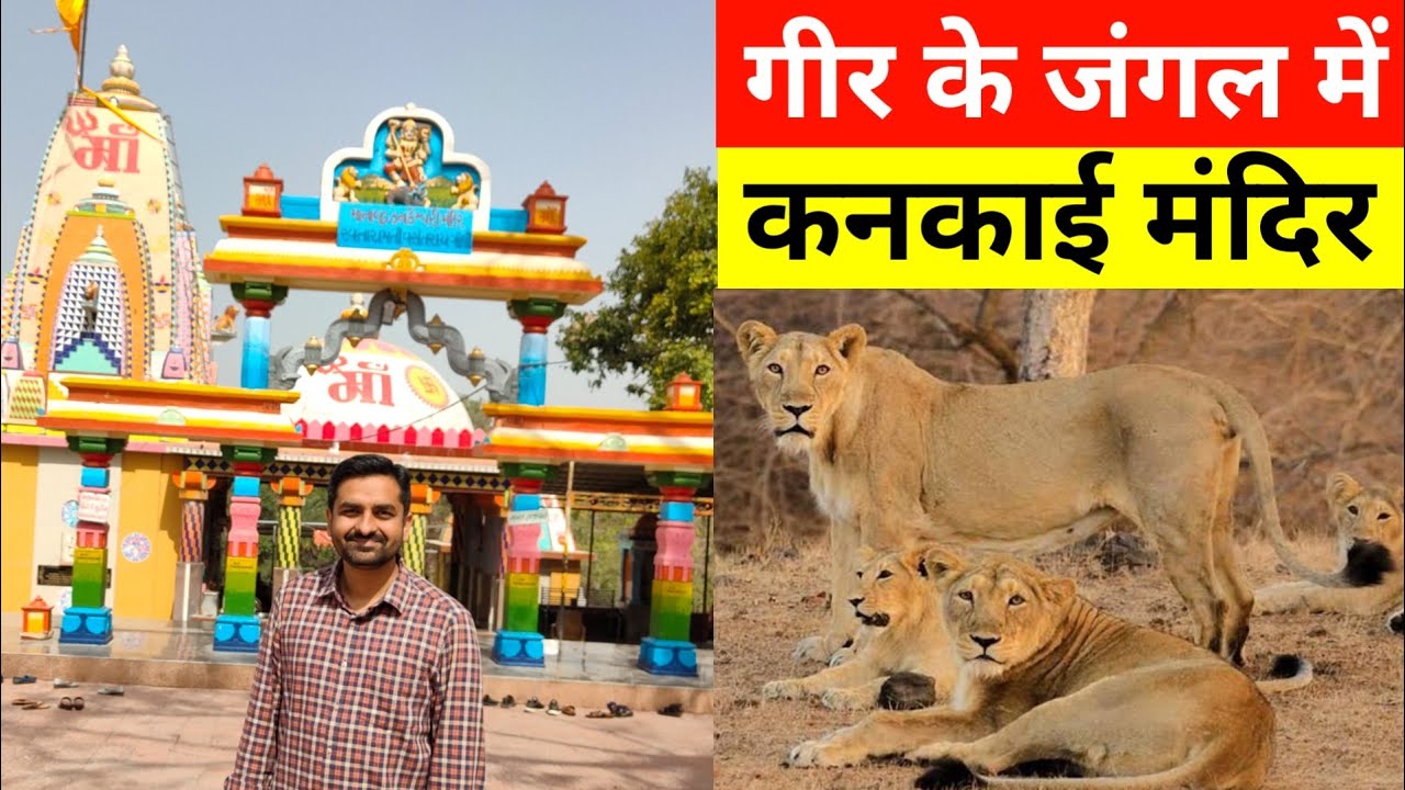Trip to Kankai Mataji Temple in Gir Forest || Kankai Temple in Gir Forest ||