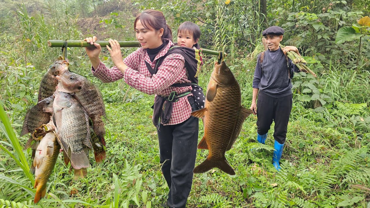 Catch fish: Grandpa made Handmade fish traps - Caught giant fish - Gardening - Happy with family