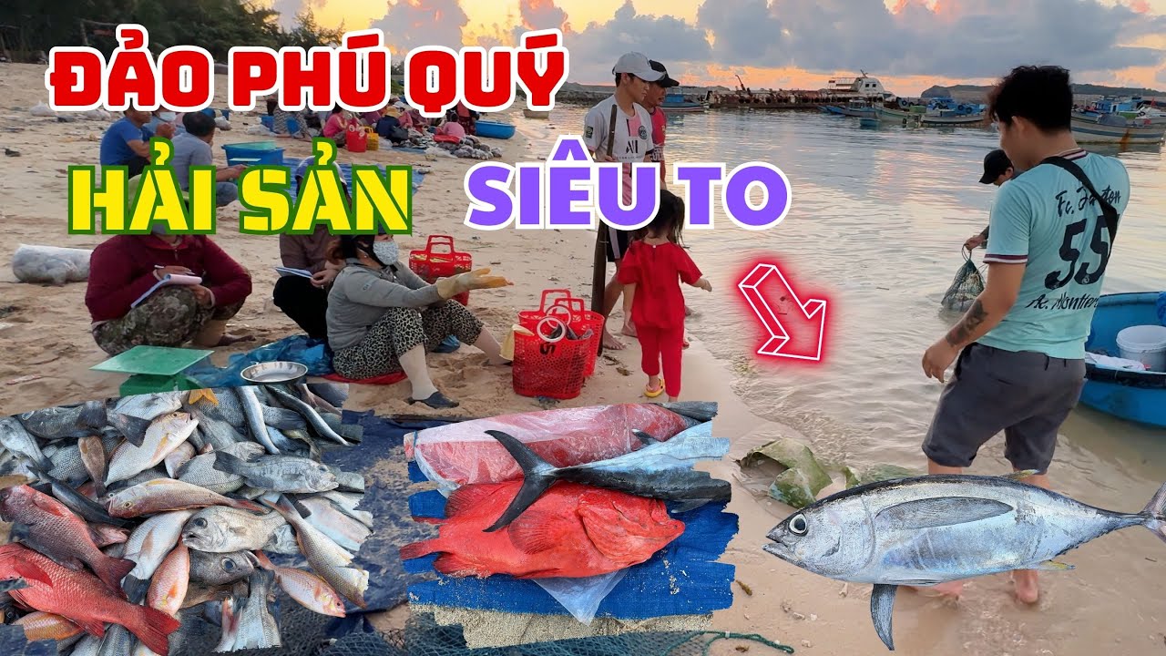 Bật mí làng chài Hải Sản Siêu To và Đa Dạng ở Đảo Phú Quý  - Kinh nghiệm du lịch Đảo Phú Quý  ❤️  🏝