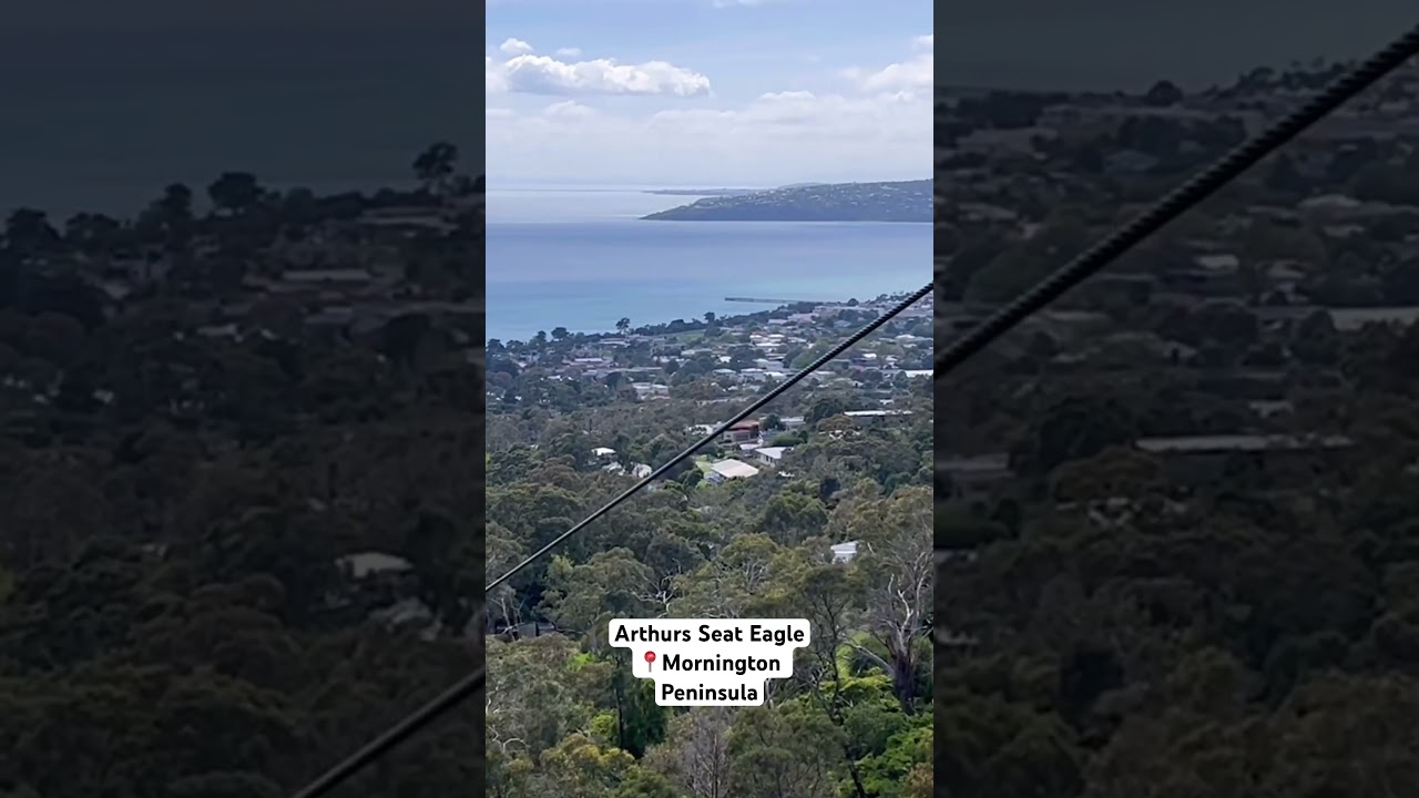 Arthurs Seat Eagle 📍Mornington Peninsula #melbourne #australia