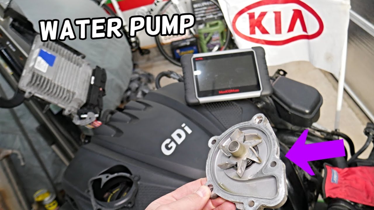 WATER PUMP REPLACEMENT REMOVAL LOCATION KIA SORENTO, KIA SPORTAGE