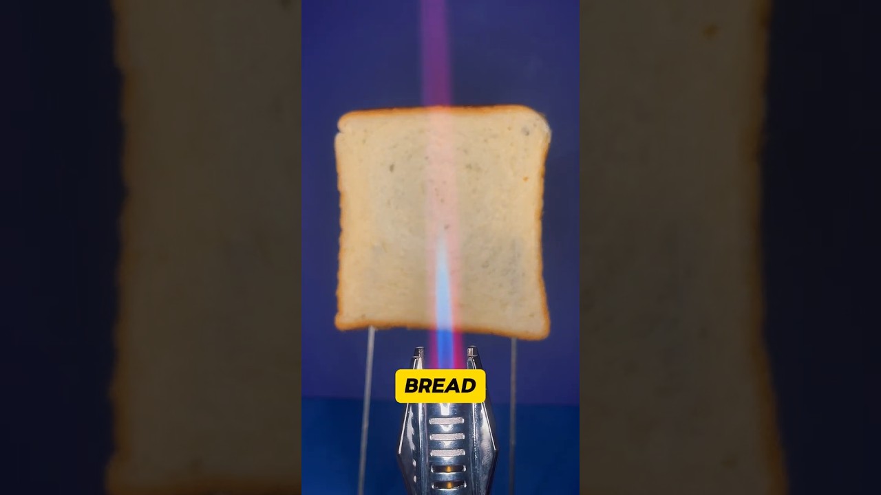 What Happens When You Torch a Slice of Bread | Fire Lighter VS Bread