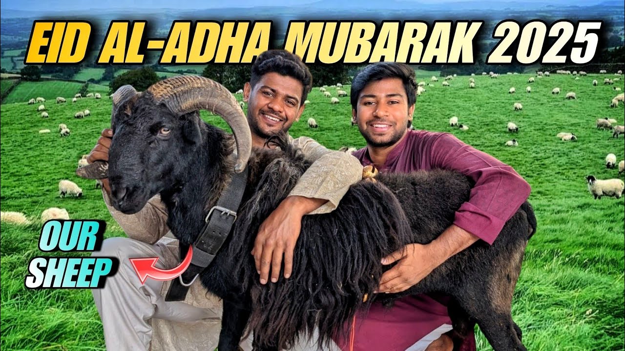 🌙 Eid al-Adha mubarak 2025 | Thing what we did on bakrid 2025