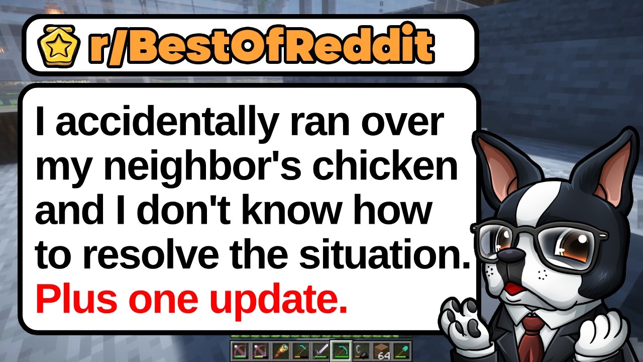 I Accidentally Ran Over My Neighbor&rsquo;s Chicken and I Don&rsquo;t Know How to Resolve the Situation