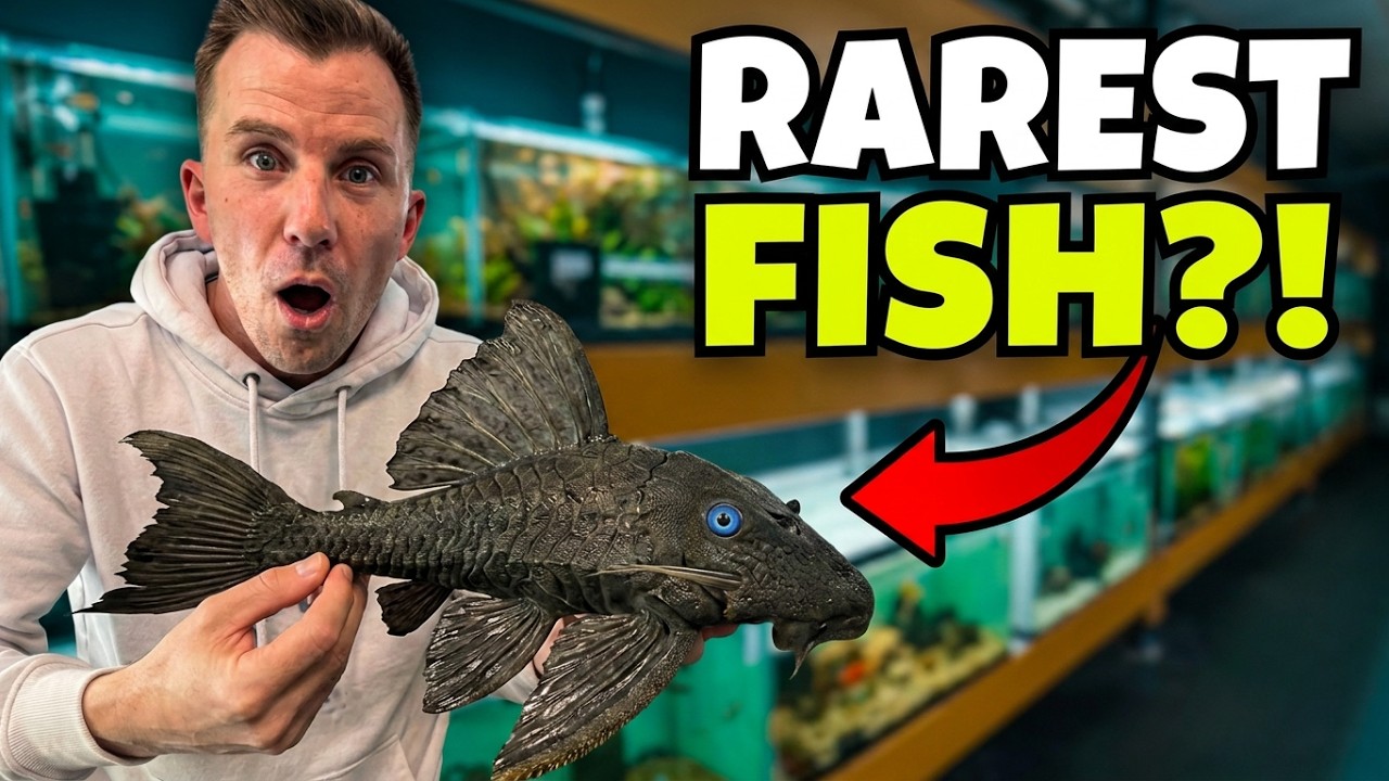 INSIDE THE CRAZIEST RARE FISH STORE! A Collectors Dream! - Full Tour