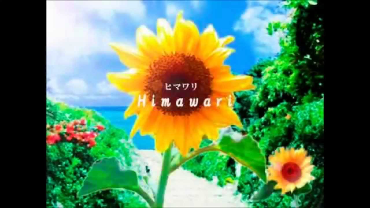 ヒマワリ (Himawari) [Full Version] - Riyu from BeForU