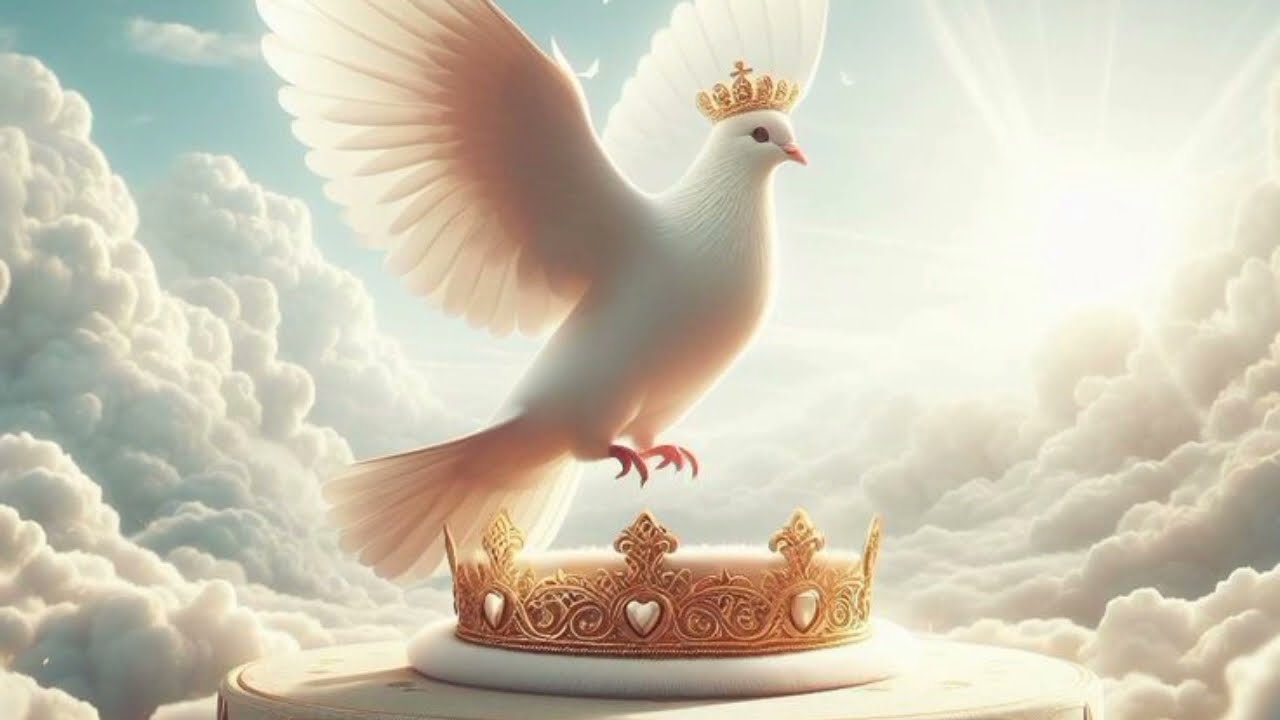 the bride of Christ and who she is? # did she know whose she is?🤔🕊️