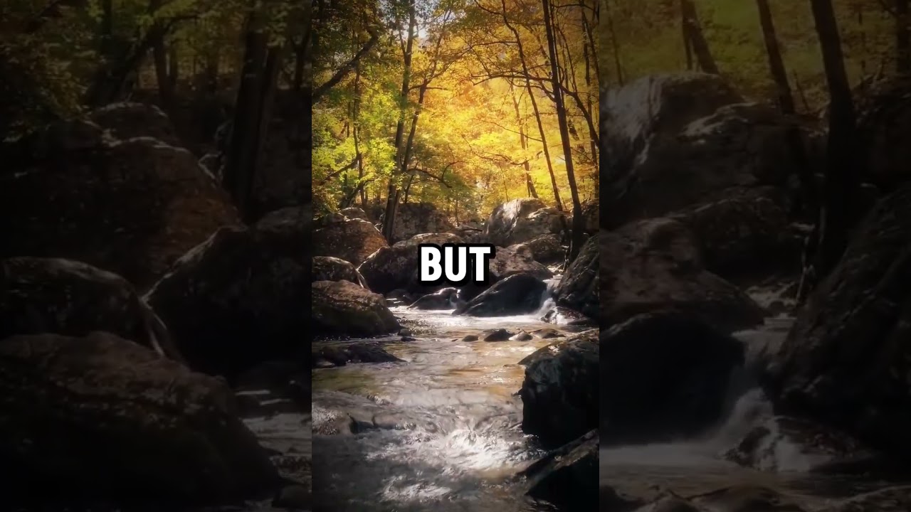 the hardest part is waiting 