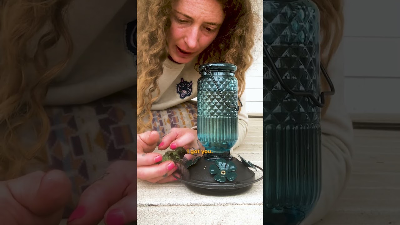 Женщина потратила четыре часа на то, чтобы оживить колибри | The Dodo