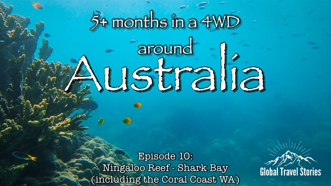 Ultimate Ningaloo, Shark Bay and Coral Coast Road Trip!