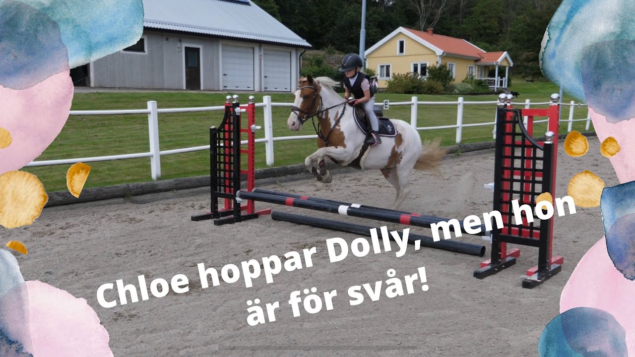 Chloe hoppar Dolly, men hon är för svår - VLOGG