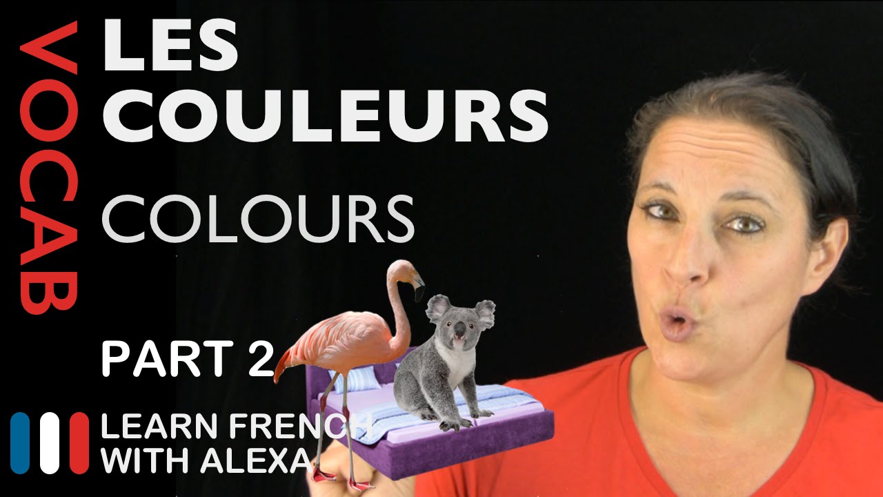Colours in French Part 2 (basic French vocabulary from Learn French With Alexa)