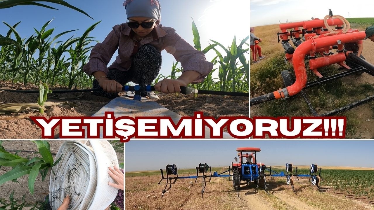 35 DERECE!! DAMLAMA YAYIYORUZ!! MISIRLAR SUYA KAVUŞTU!