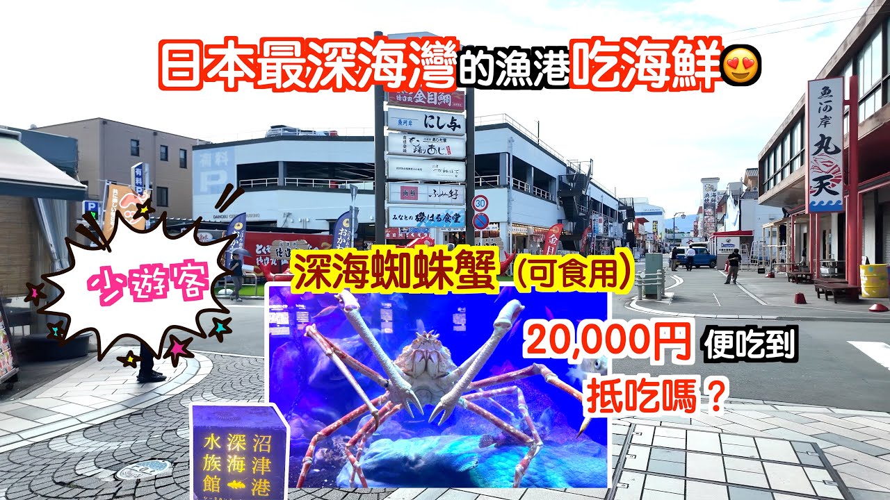 [靜岡～伊豆#4-CC字幕]在日本最深海灣的漁港吃海鮮🥰2萬円吃到蜘蛛蟹🤩抵吃嗎？遊客不多更是興奮🥳 參觀日本唯一的深海水族館😎靜岡自駕遊｜靜岡自由行｜東京自由行｜沼津｜駿河灣｜富士山｜高足蟹