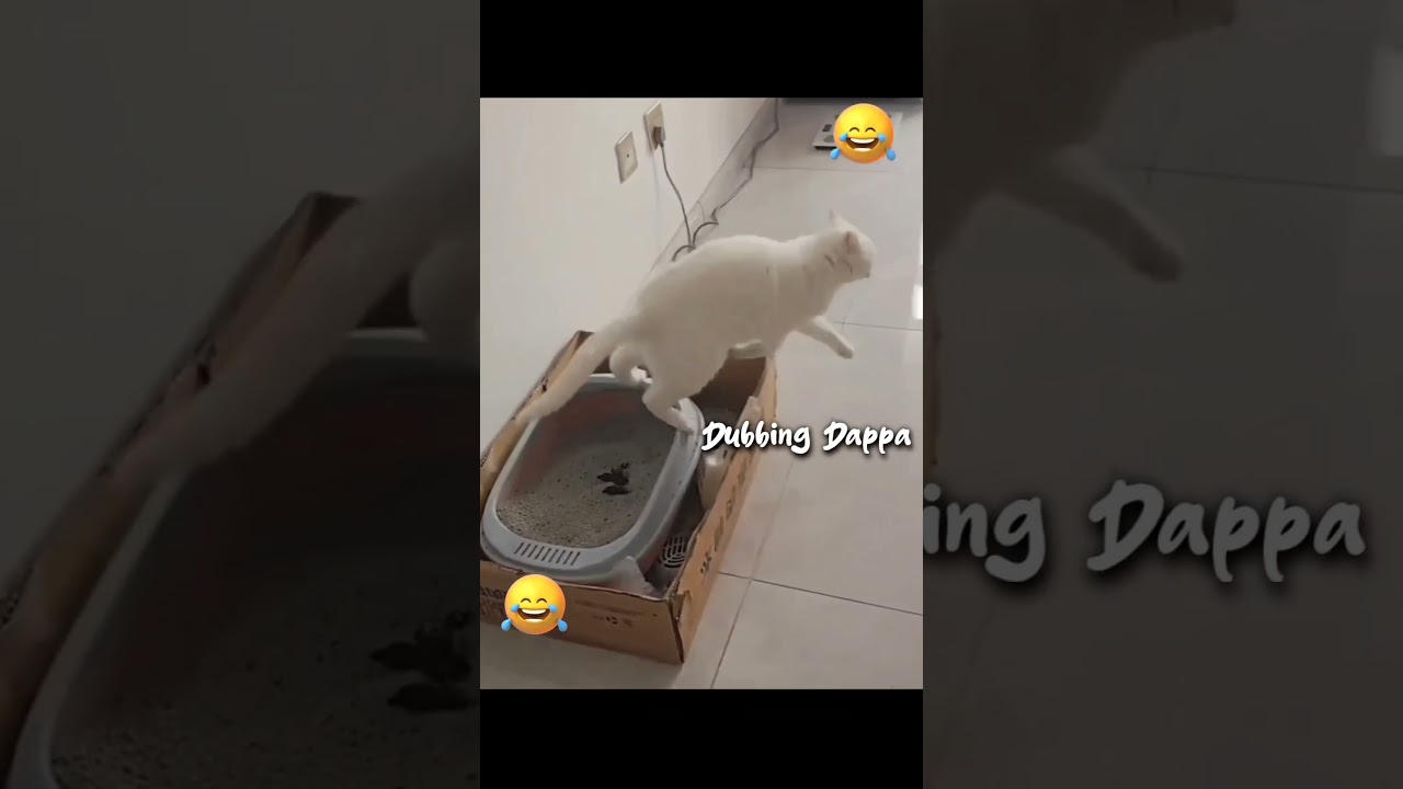 Funny Cat Mind Voice #funny #cat #shortsfeed #shorts #comedy #animalvideos #animalmindvoice