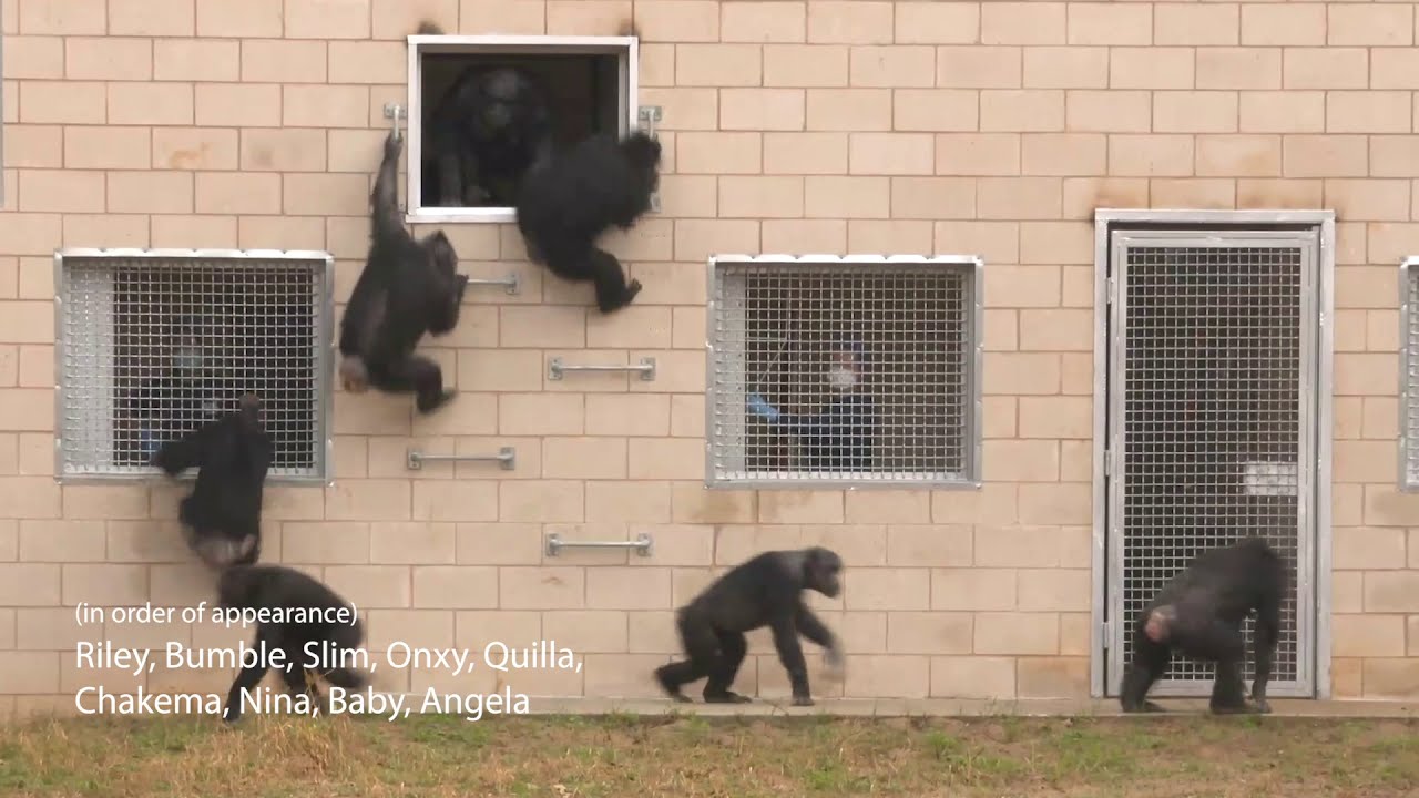 Bonus Footage: Slim's Group