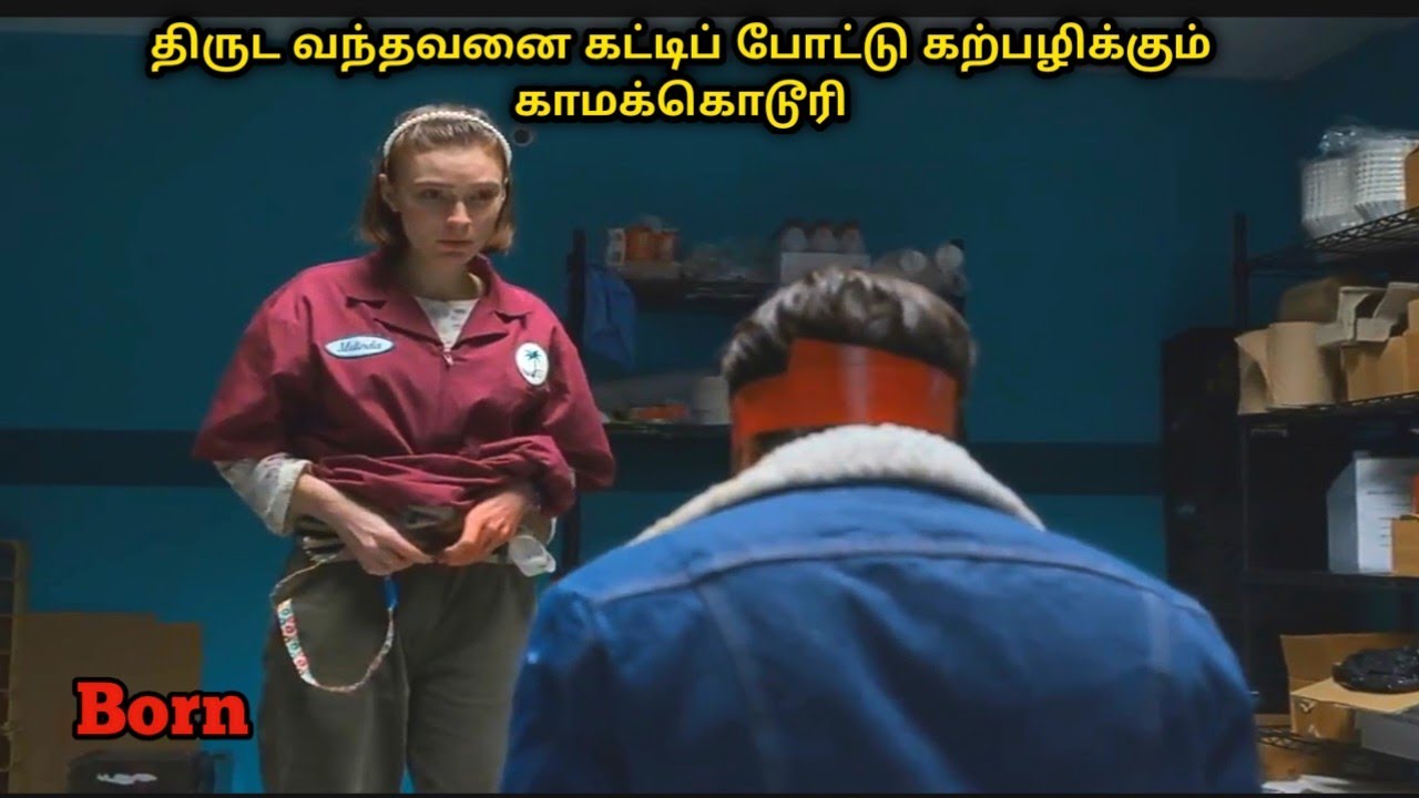 ஐயோ இங்க யாரும் திருட வராதீங்க| Hollywood Movie story & Review |Tamil voice over | Tamizhan