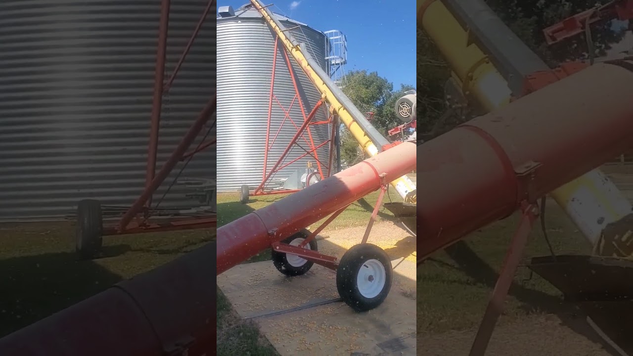 unloading corn out of hopper bottom. #trending #4k #tractor #corn #harvest #farming