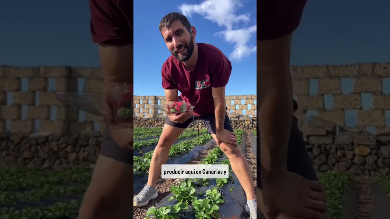 Como saben,hay más cosas que se tienen en cuenta y que afectan de una manera o de otra en todos  🍓 