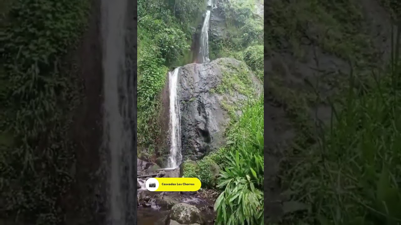 Como llegar a Delicias las Peñas en Guatica Risaralda
