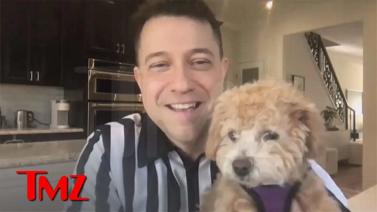 Puppy Bowl XX Features Its Biggest and Smallest Rescue Puppies Ever | TMZ Live