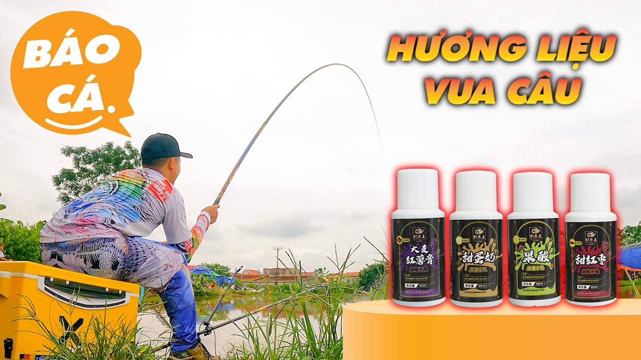CÂU CÁ CHÉP NGÀY NẮNG - MƯA THẤT THƯỜNG | HƯƠNG LIỆU VUA CÂU