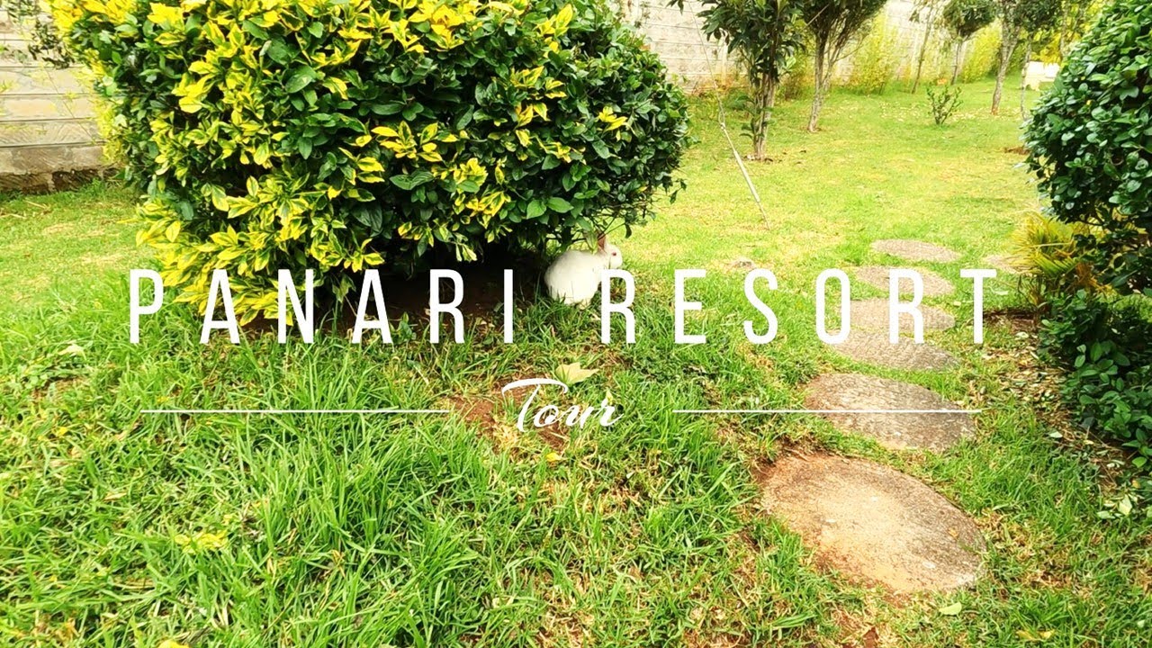 Panari Resort Tour, Nyahururu Kenya