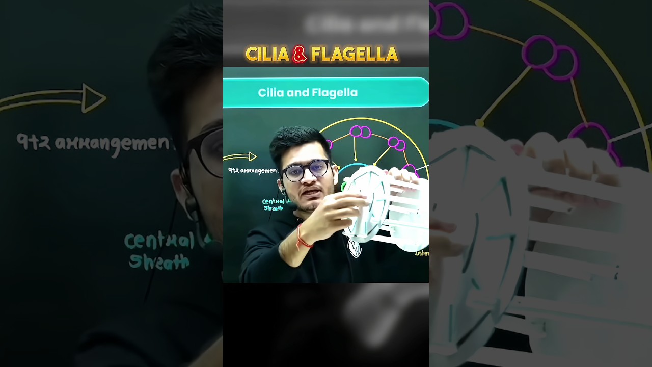 CILIA & FLAGELLA Explained 💯 #PW #Biology #Shorts