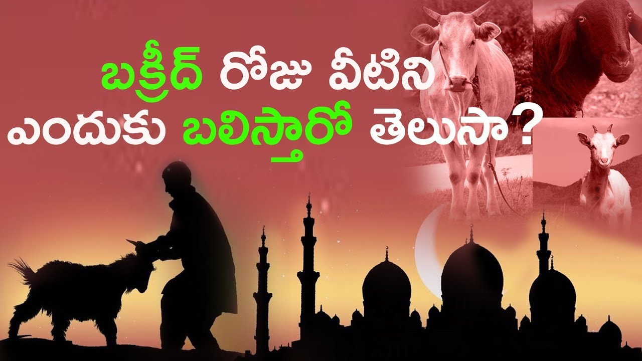 బక్రీద్ రోజు వీటిని ఎందుకు బలిస్తారో తెలుసా? | Bakrid History And Importance | Eid Ul Adha 2024
