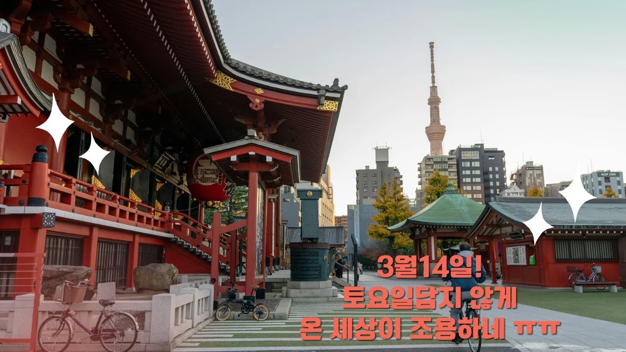3월14일 투나대리 토요일답지 않게 온 세상이 조용하네 ㅠㅠ