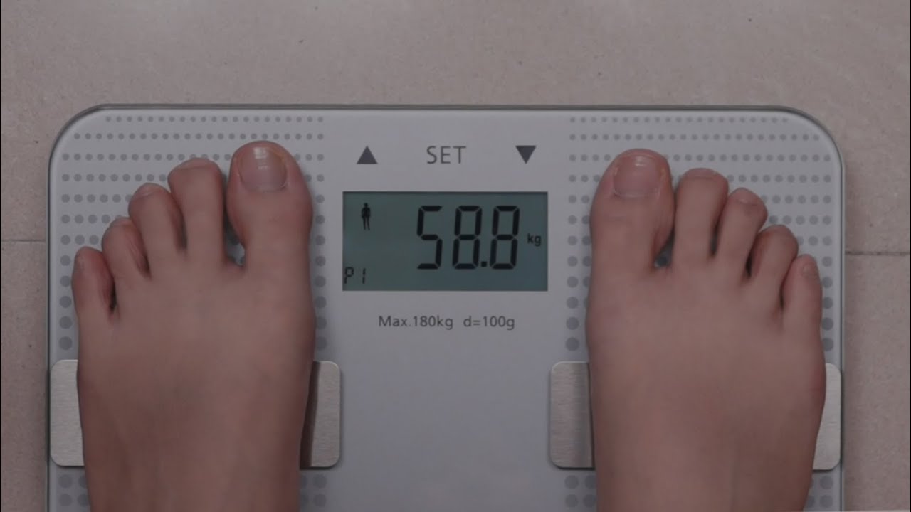 WF260 - Body Fat Monitor with scale