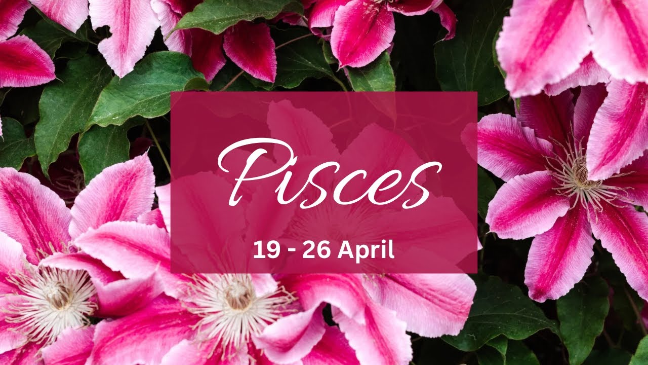 Pisces❤️U gave up hope on this apology & now it’s coming!Confused & stressed u yet can’t get over u!